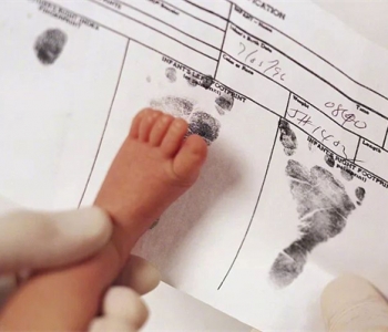 孕妇梦见鸭子什么意思，温州代怀孕梦到鸭子是生男还是生女？
